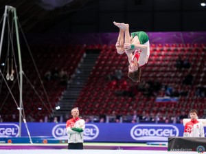 sas nandor hun sfe05149 copia simone ferraro ph